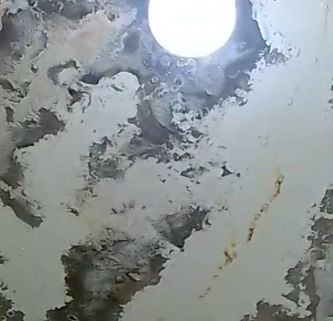 Guanuma: Aulas Inundadas y el Peligro para los Estudiantes