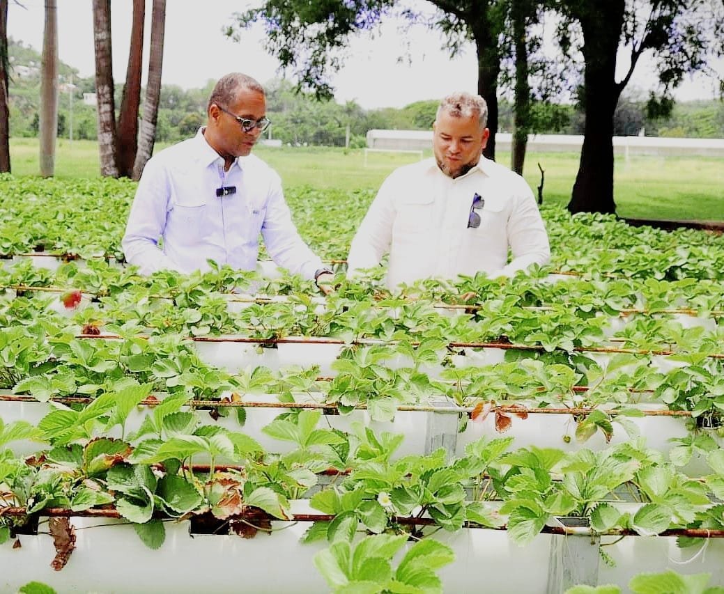 FEDA e ISA Impulsan Innovación Tecnológica en el Campo Dominicano