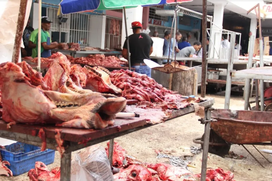 Incautan toneladas de carne podrida de Duquesa: Un atentado a nuestra salud