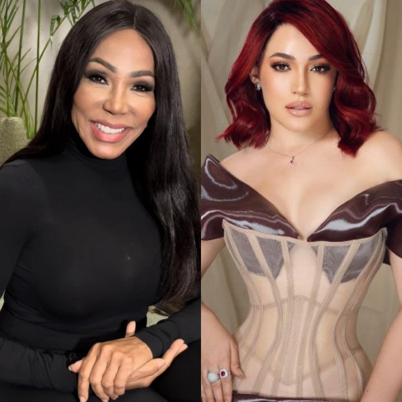 La Vaina Judicial: Magali Febles Demanda a Karen Yapoort