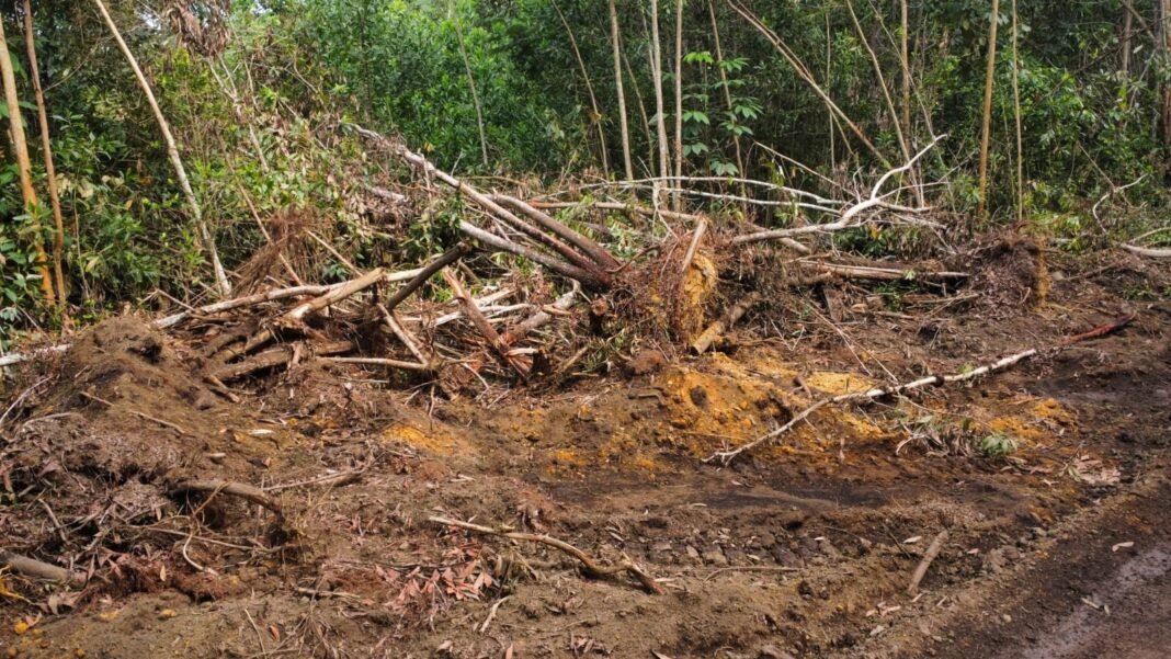 Denuncian intervención en Loma de Managuá Bayaguana