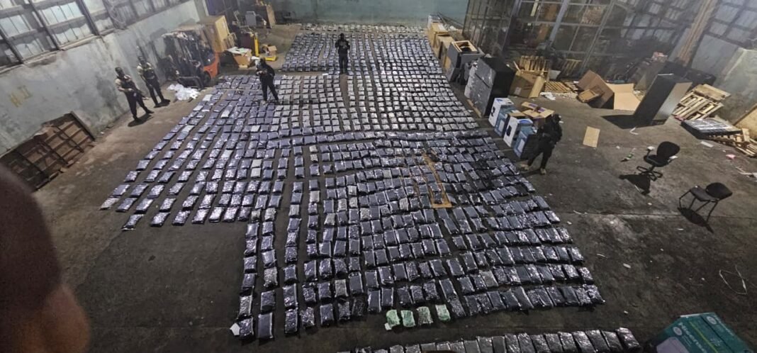 Decomiso de marihuana sintética en Puerto Plata