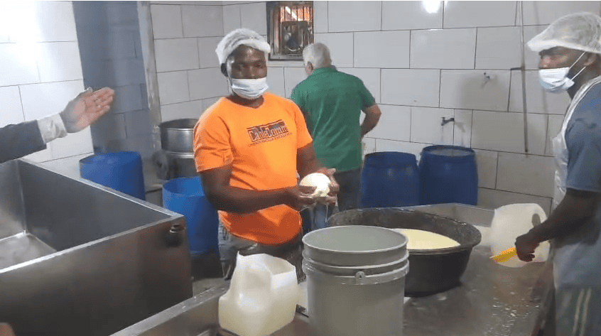 Cierre de fábrica de quesos en Santiago por problemas de higiene.
