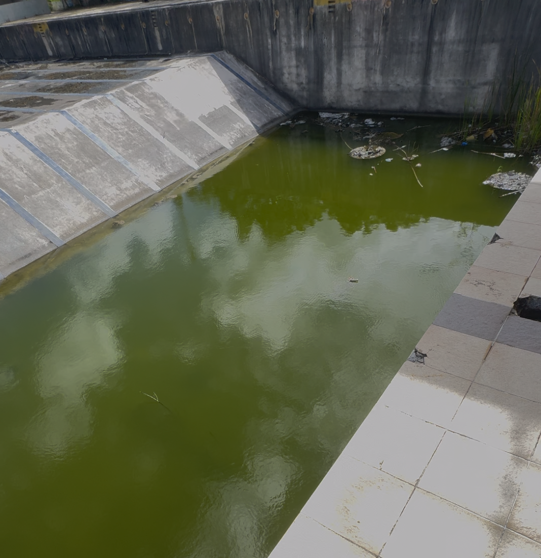 ¡Qué ‘Vaina’! La ‘Piscina Olímpica’ de La Romana, hecha un ‘KlK’. Piscina Olímpica de La Romana, un foco de abandono y contaminación.