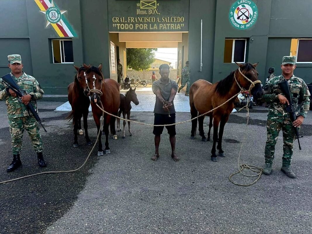 ¡’Jevi’ la jugada! Drones y Ejército meten la mano contra el cuatrerismo en Dajabón Drones y Ejército combaten el cuatrerismo en Dajabón