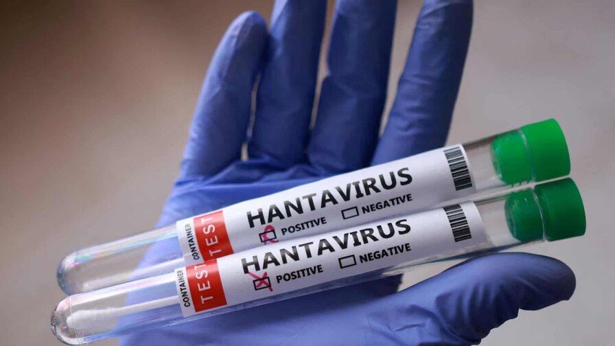 ¡Klk con el tratamiento experimental para el Hantavirus! España, Francia y Países Bajos se meten en ese ‘coro’ Tratamiento experimental para el Hantavirus en Europa