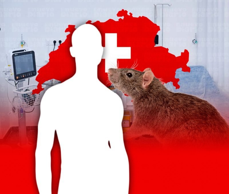 Hantavirus Andino: Hay que estar alerta