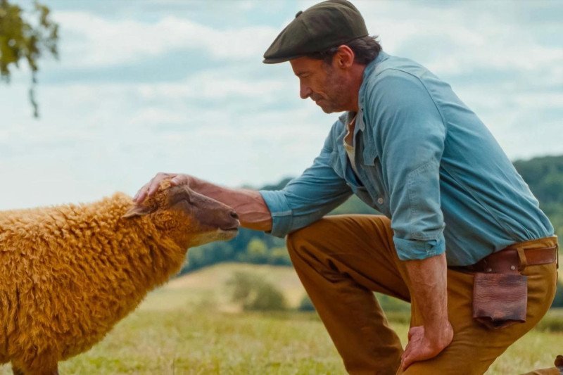 Hugh Jackman revela el corazón ‘bacano’ de ‘The Sheep Detectives’ Hugh Jackman revela el corazón de The Sheep Detectives