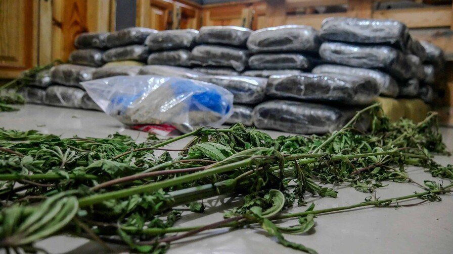 ¡Le ponen un ‘freno’ al ‘tigueraje’! DNCD incauta un viaje de marihuana en Haina DNCD incauta 133 paquetes de marihuana en Puerto de Haina Oriental