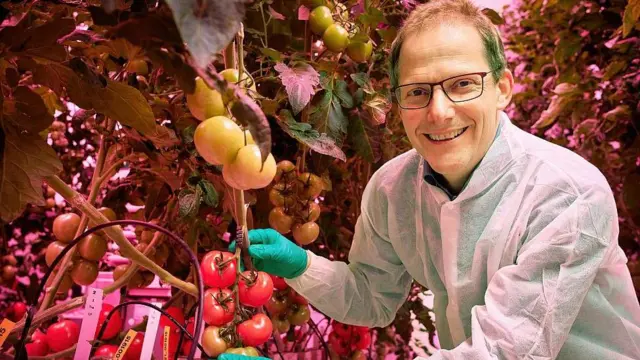 El ‘Food Valley’ de Países Bajos: ¡Qué Vaina más Dura para el Futuro Agrícola! El Food Valley de Países Bajos: Innovación para el Futuro Agrícola