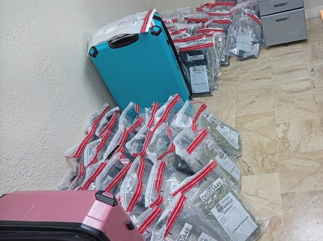 ¡’Qué Vaina’! Desmantelan Carga de Marihuana y Molly en Aeropuerto de Punta Cana Desmantelan Carga de Marihuana y Molly en Aeropuerto de Punta Cana