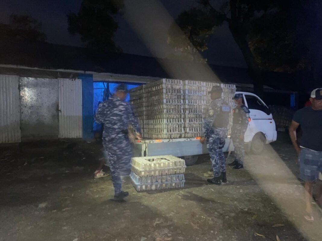 ¡Klk, mi gente! Policía recupera un ‘viaje’ de pollos robados en La Vega Policía recupera pollos robados en La Vega