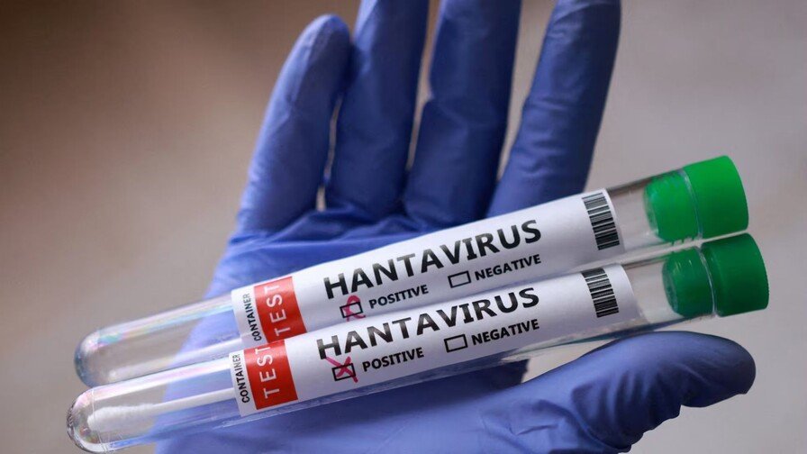 Hantavirus en Crucero: ¡No es ‘pa’ tanto’, según la OMS! Hantavirus en Crucero: La OMS descarta riesgo elevado