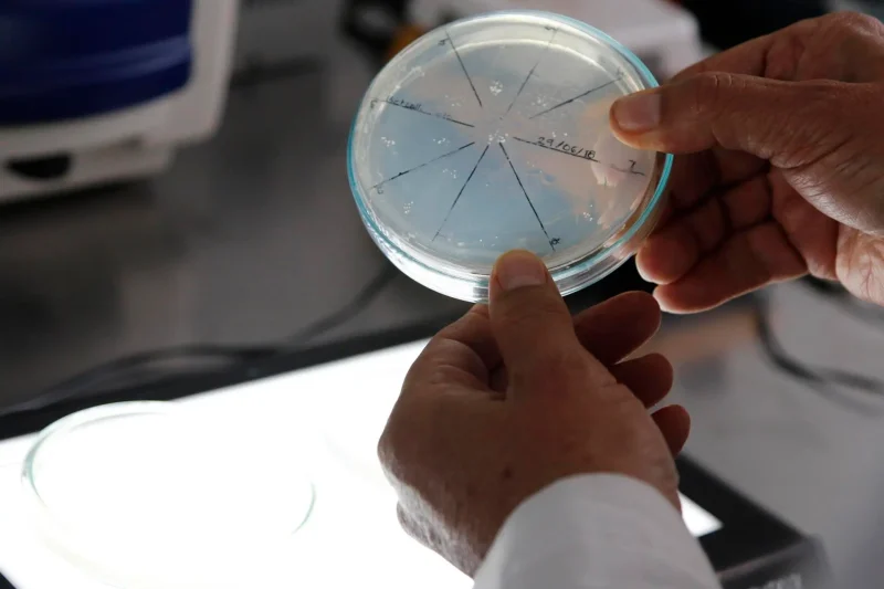 ¡Qué ‘vaina’ más jevi! Descubren manikomicina, el antibiótico que le da pa’ su fresco a las bacterias resistentes Descubren manikomicina, el antibiótico que elimina bacterias resistentes