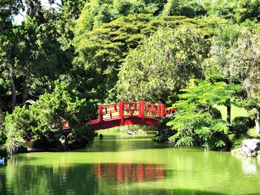 Jardín Botánico celebra caminata Un día sin emisiones por el Medio Ambiente