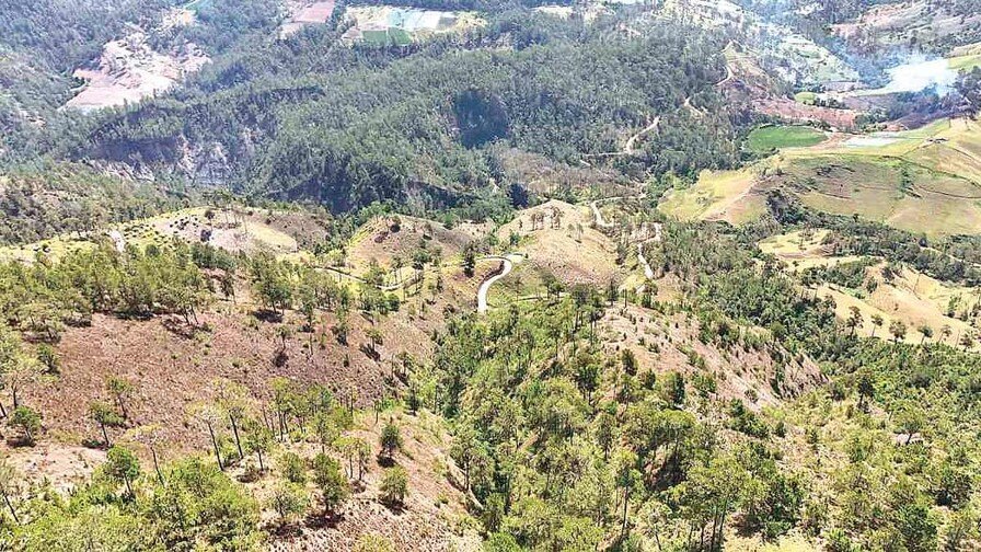 Las Lomas de Ocoa: Un ‘Coro’ de Narcocultivo Que Nos Dejó en ‘Vaina’ Las Lomas de Ocoa y el Impacto del Narcocultivo