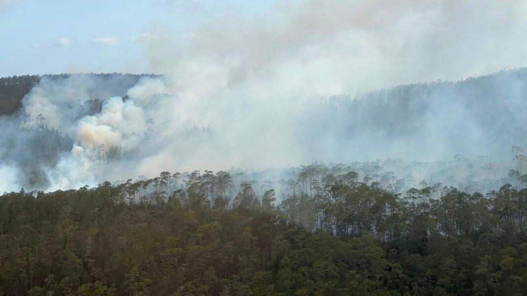 Incendio en Bahoruco: La Sierra en Alerta