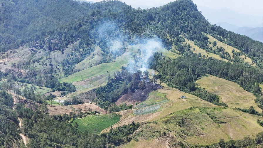 Disputa de jurisdicción entre Ocoa y Azua por plantación de marihuana