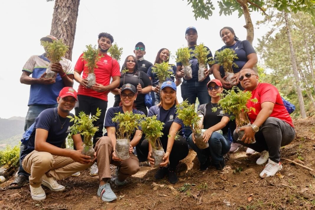 El Senado se puso serio con el medio ambiente Gran Jornada de Reforestacion en el Nizao