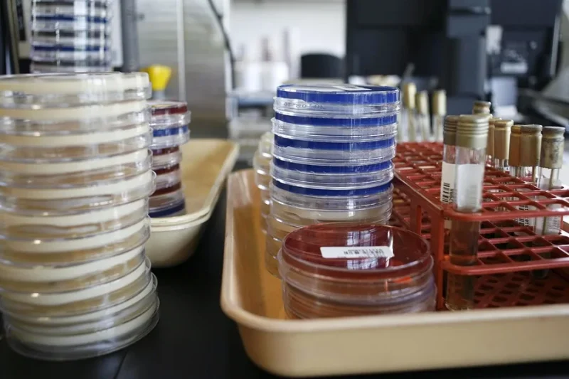 ¡Qué ‘Vaina’ Bacana! Adiós a las Bacterias Resistentes sin Antibióticos Adiós a las Bacterias Resistentes sin Antibióticos: Un Nuevo Descubrimiento Científico