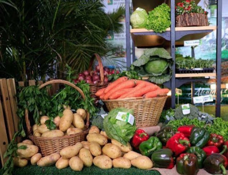 Constanza ‘en la lona’: Importaciones masivas aplastan a nuestros agricultores Constanza en la lona: Importaciones masivas aplastan a nuestros agricultores