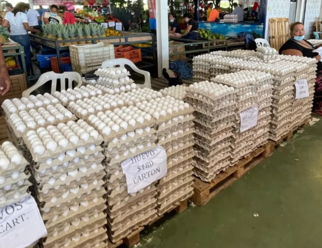 Precios del Huevo Estables y Exportaciones Crecen en República Dominicana