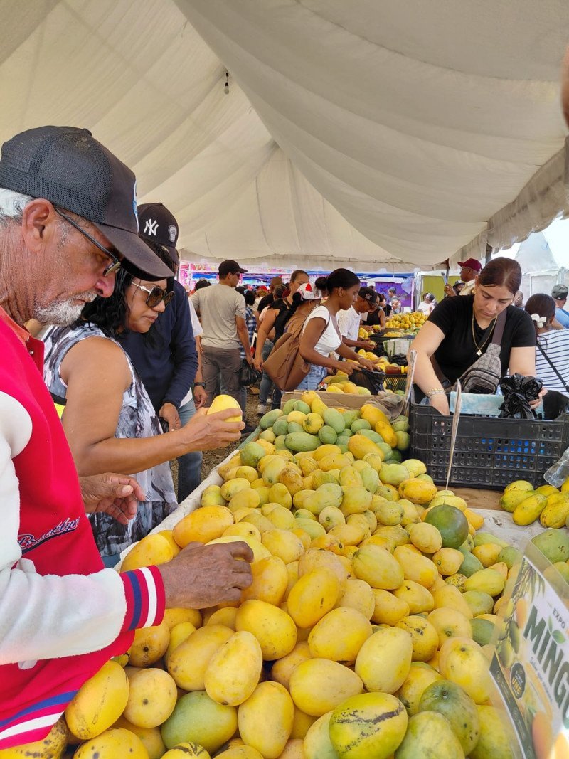 ¡Qué ‘golpe’! Productores de mango de Baní en apuros por veto de EE. UU. Impacto Económico: Productores de mango de Baní afectados por veto de EE. UU.