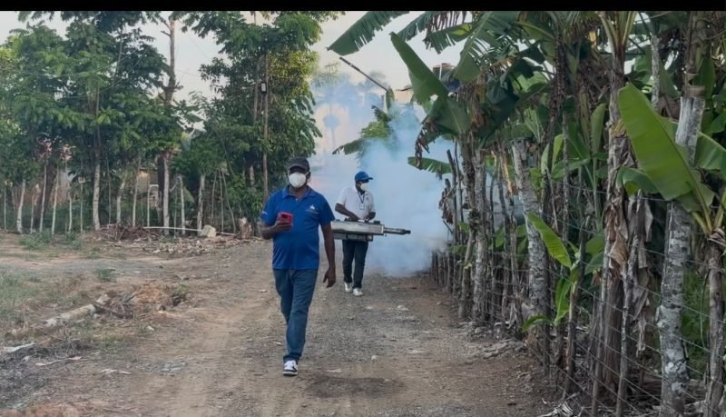 ¡’Fumigatón’ en Zambrana! Salud Pública se tira a la calle contra el dengue Fumigaton en Zambrana Salud Publica se tira a la calle contra el dengue