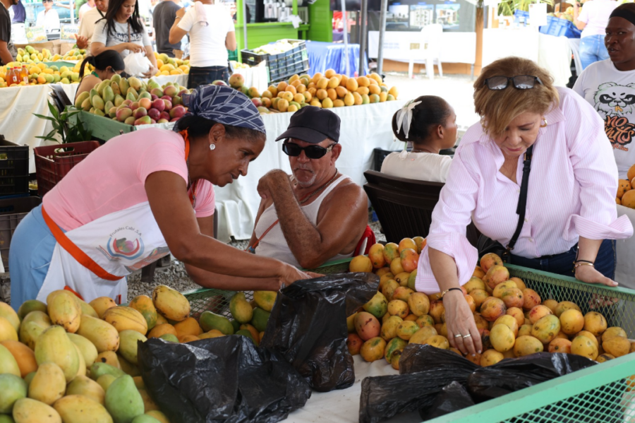 Mango dominicano: ¿Se arregla la ‘vaina’ de la exportación? Mango dominicano: Se espera la reactivación de las exportaciones