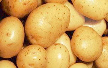 La Papa: ¿Una ‘Vaina’ Súper Saludable o Puro ‘Cuento’? La Papa: ¿Una Vaina Super Saludable o Puro Cuento?