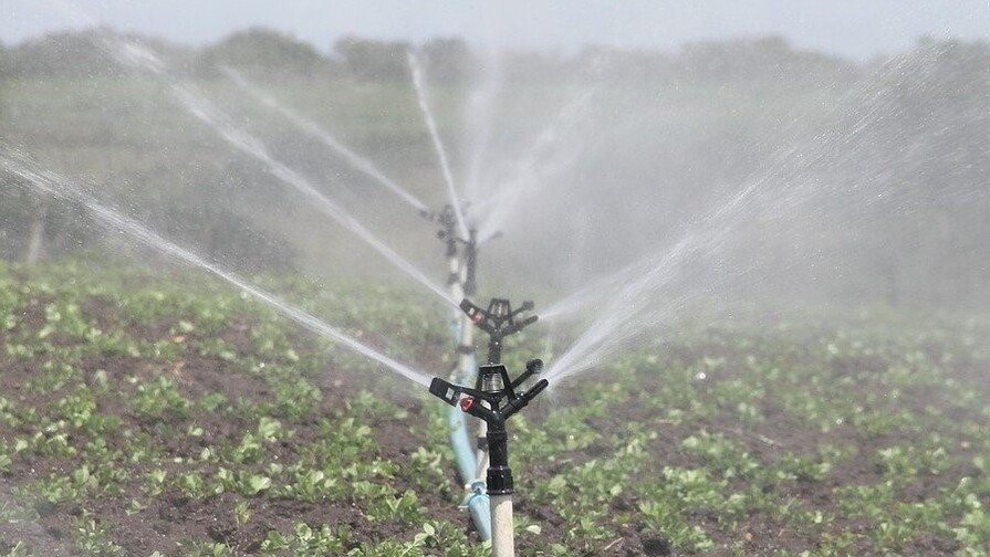 La sequía aprieta: ¡Qué ‘vaina’ con el agua y el ‘tandeo’ en el campo dominicano! La sequía aprieta: Qué vaina con el agua y el tandeo en el campo dominicano