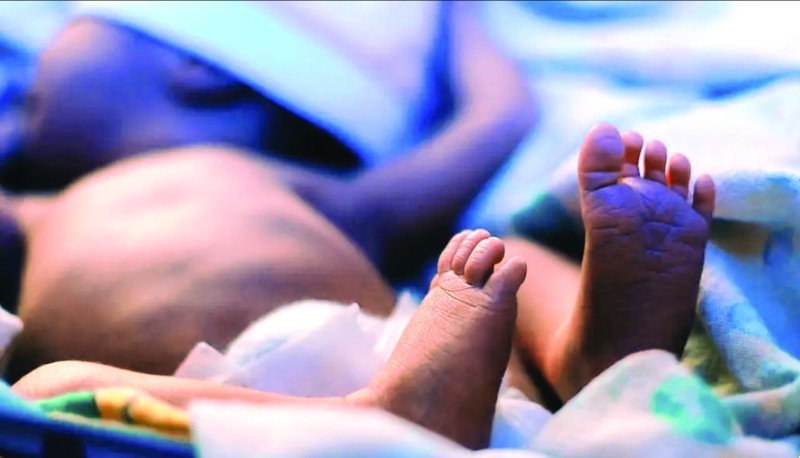 Maternidad en el Ojo del Huracán: Investigación de Neonatos