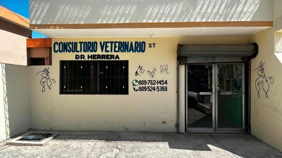 ¡Qué Vaina! Sarna en Barahona Revela Desafíos de Higiene y Cuidado Animal Sarna en Barahona Revela Desafíos de Higiene y Cuidado Animal