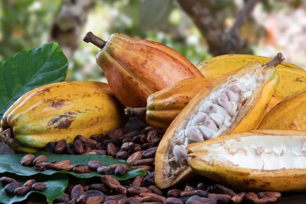 Exportaciones: ‘Vaina’ dulce y amarga, con el oro dando el palo Exportaciones: un dulce y amargo desempeño, con el oro impulsando el crecimiento