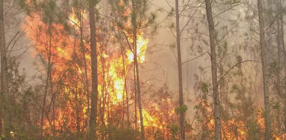 ¡Medio Ambiente en ‘brega’ dura contra el fuego en Pelempito-Aceitillar: el ‘tigueraje’ de bomberos activo! Medio Ambiente en lucha contra el fuego en Pelempito-Aceitillar: bomberos activos