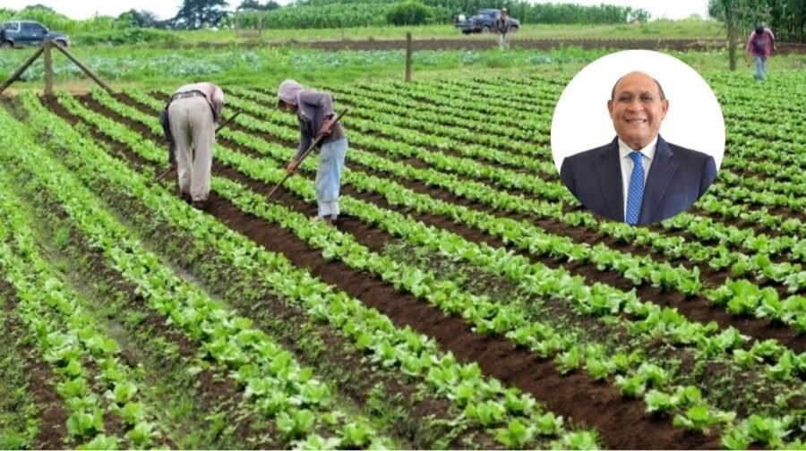 ¡A ponerse ‘jevi’! La agricultura dominicana busca tecnología y mejores ‘chelitos’ La agricultura dominicana busca tecnología y mejores salarios