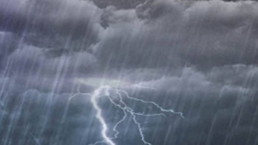 Alerta en el Patio