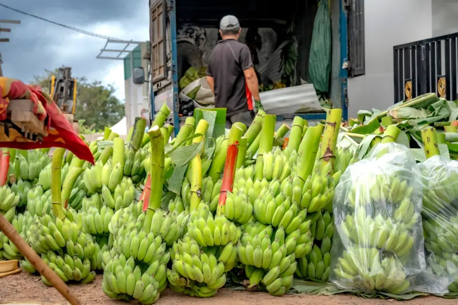 La ‘Vaina’ del Combustible: ¿Cómo el Alza Nos Pone en Aprietos con la Comida? Alza de Combustibles y su Impacto en el Transporte de Alimentos
