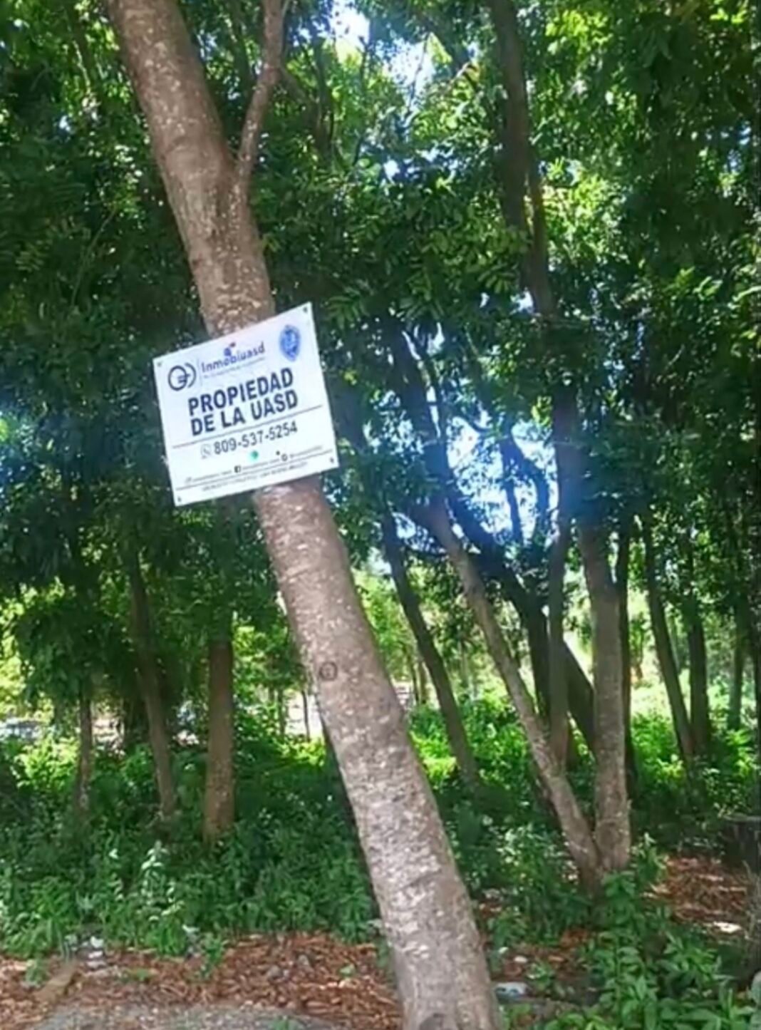 ¡Se Armó la ‘Vaina’ en Engombe! Denuncian posible ocupación de áreas verdes Denuncian posible ocupación de áreas verdes en Engombe