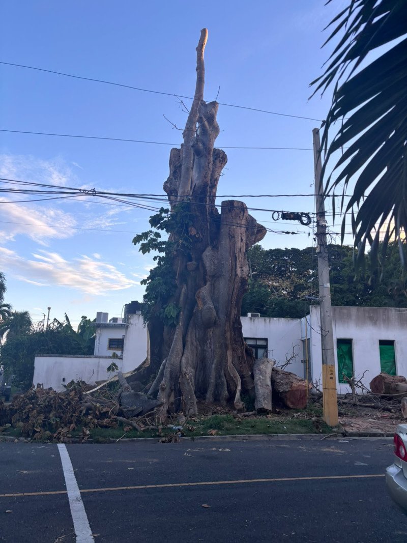 ¡Qué Vaina! Noches Calurosas se Disparan en la Capital Noches Calurosas se Disparan en la Capital