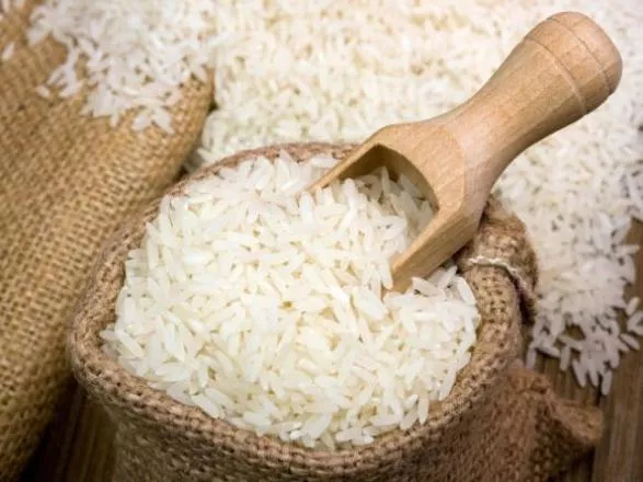 El ‘KlK’ del Arroz: Productores Dominicanos Piden Apoyo y Control de Importaciones El Futuro del Arroz Dominicano: Productores Piden Apoyo y Control de Importaciones