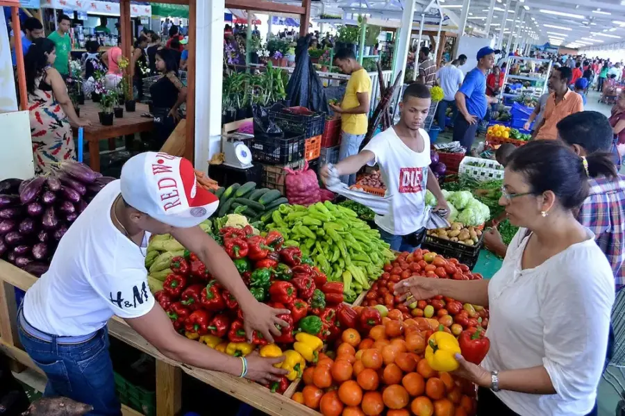 ¡La Vaina Está Dura! Familia Dominicana Necesita RD$19,000 para Comer Saludable La Vaina Esta Dura Familia Dominicana Necesita 19000 para Comer Saludable