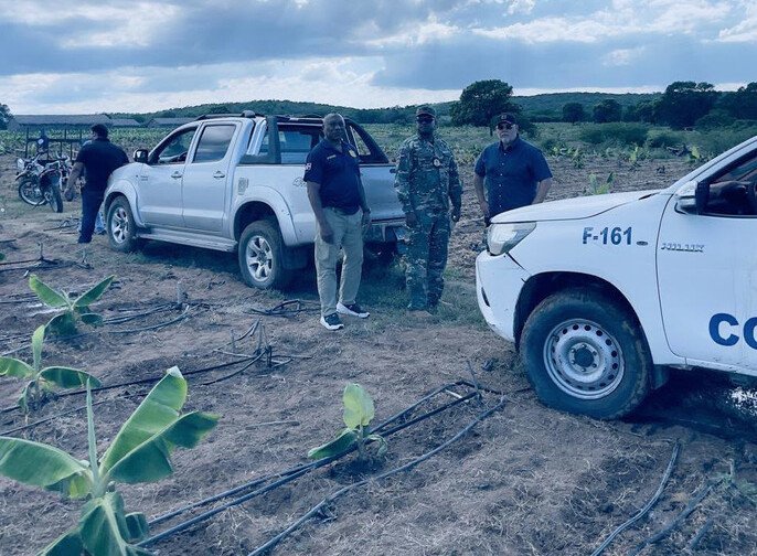 ¡Ay, mi madre! Migración mete el pie en fincas y detecta un ‘viaje’ de irregulares Migración detecta extranjeros irregulares en fincas agrícolas