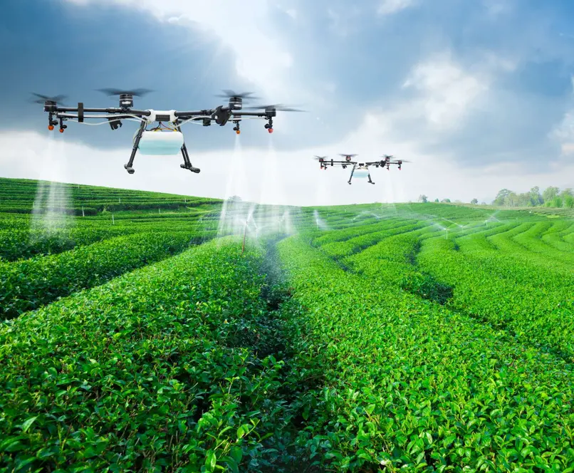 ¡Qué ‘Vaina Bacana’! Misión Italiana de CREA Impulsa la Agricultura Dominicana Misión Italiana de CREA Impulsa la Agricultura Dominicana