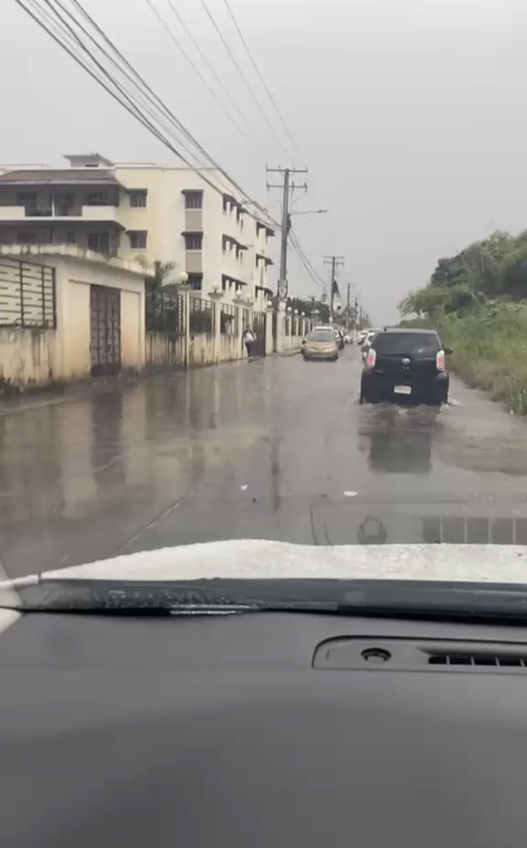 La ‘Vaina’ del Agua en Calle Las Palmeras: ¡Un ‘Lío’ que Atora a San Isidro, SDE! La Vaina del Agua en Calle Las Palmeras: Un Lío que Atora a San Isidro, SDE