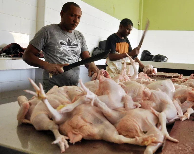 ¡A Coger Lucha! El Dólar Pone en Aprietos Precios de Pollo y Huevos Aumento del Dólar Podría Elevar Precios de Pollo y Huevos