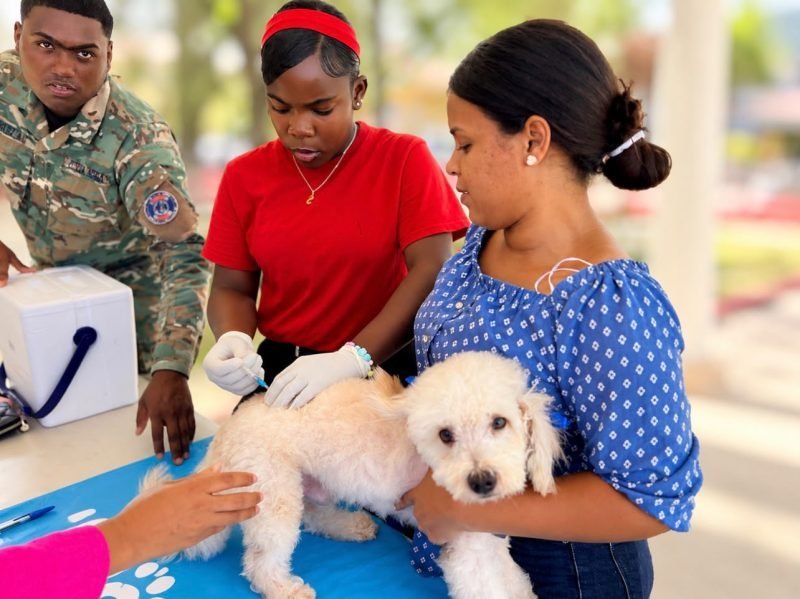 ¡Qué ‘vaina’ buena! Puerto Plata le mete mano a la rabia con vacunación masiva Puerto Plata impulsa vacunación masiva contra la rabia